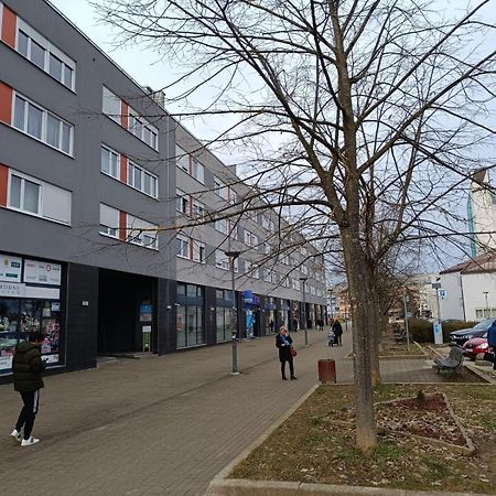 Pranjic Apartment Zapresic Exterior photo